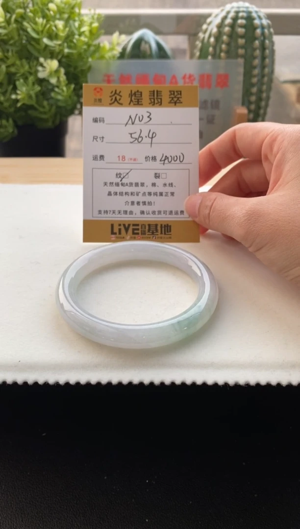 未镶嵌手镯翡翠56.7圈口编码n03