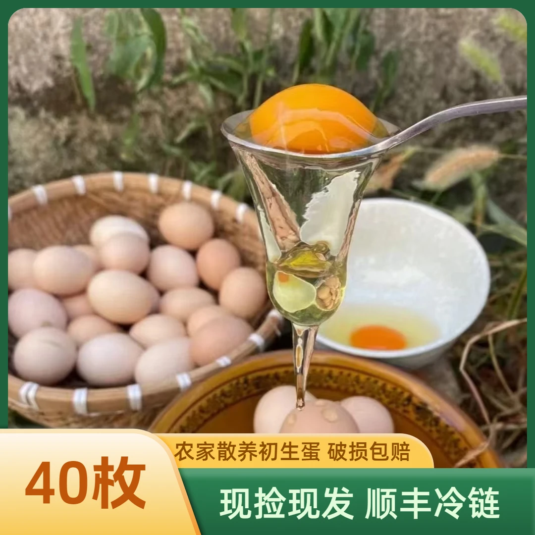 【初生蛋40枚】清远山林散养新鲜土鸡蛋头窝蛋现捡现发 30-35g/个
