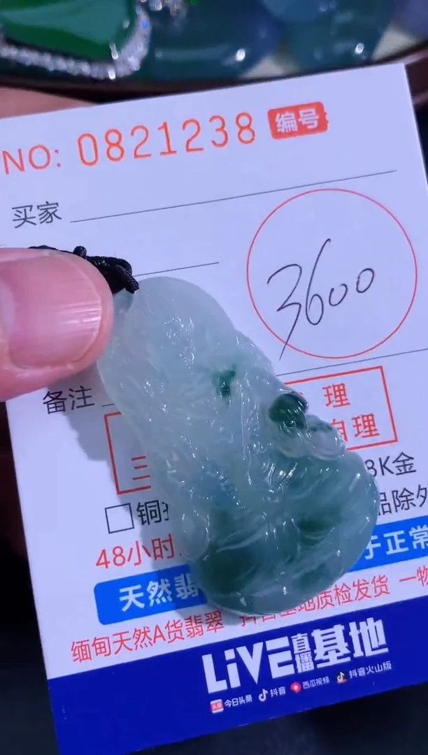 颈饰未镶嵌翡翠天然A货翡翠