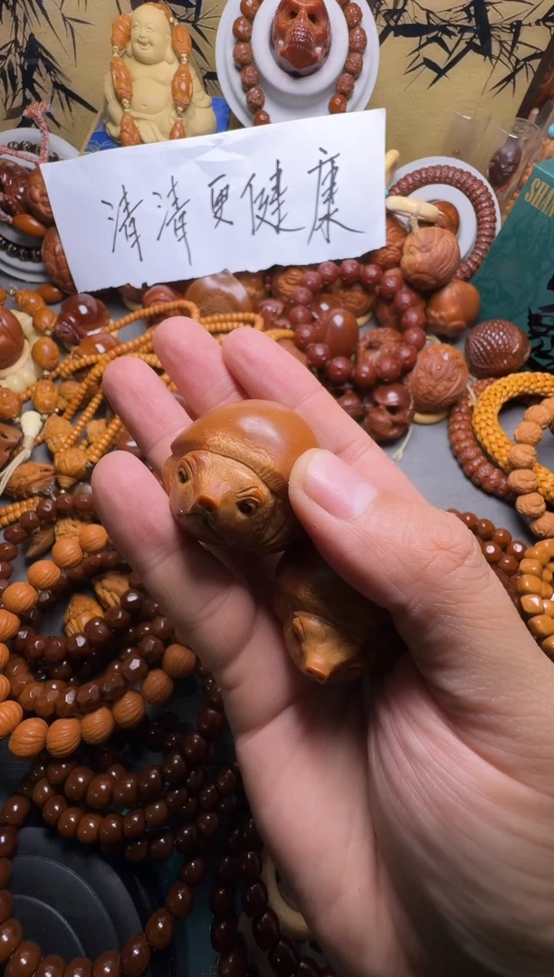 手串橄榄核猪鼻龟一对