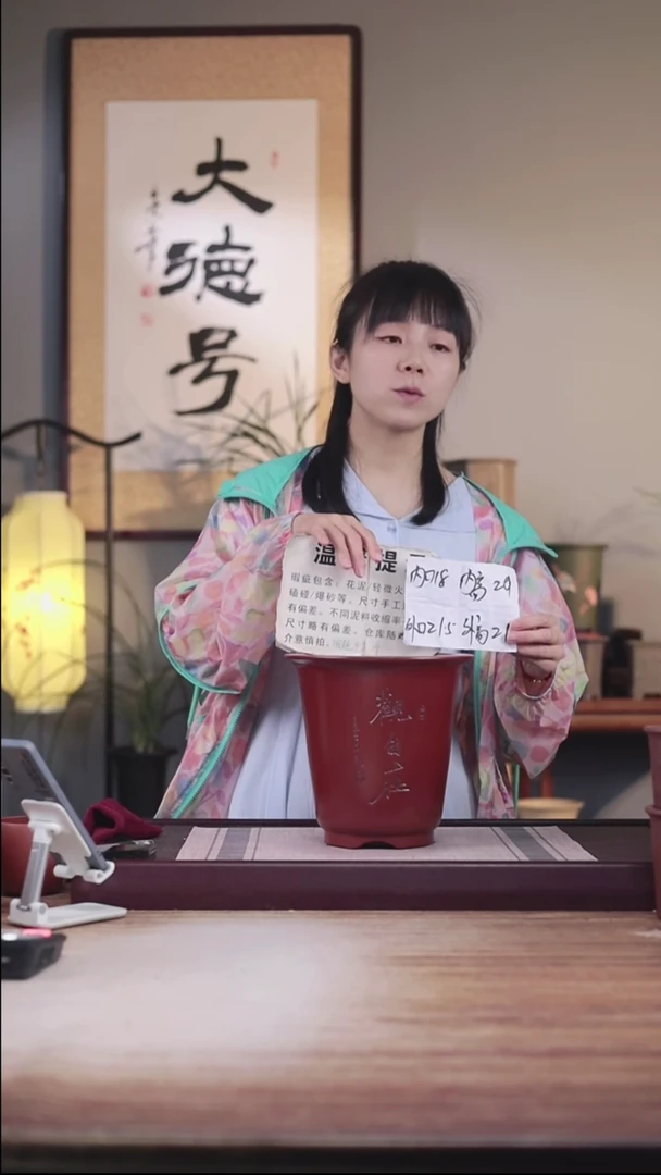 紫砂花盆瑕疵胭脂红刻绘观自在大号金钟一只无托盘