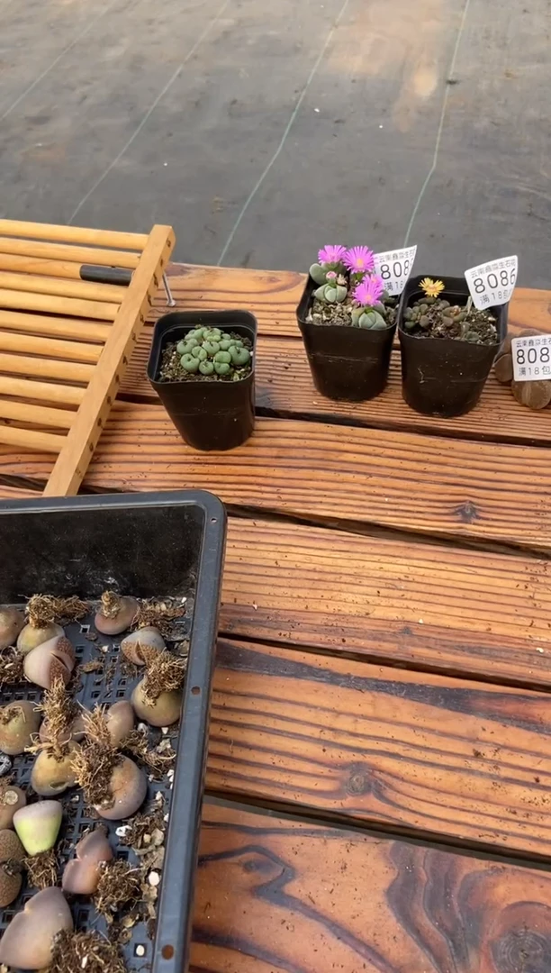 【闪购商品】保温箱1个零度以下必拍