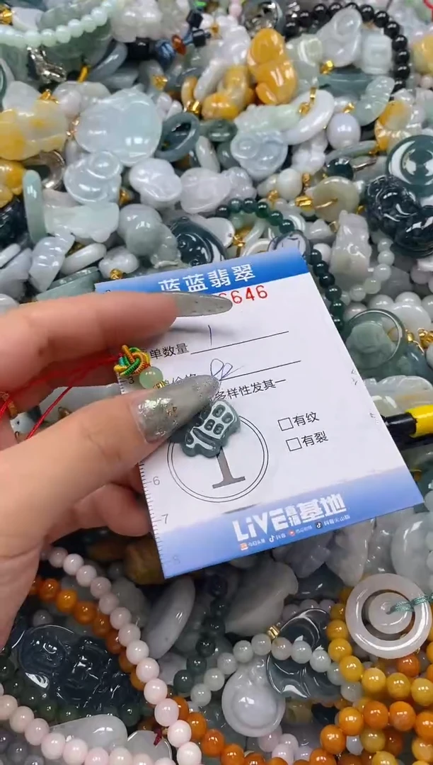 翡翠未镶嵌颈饰闪购0316646多样性发其一