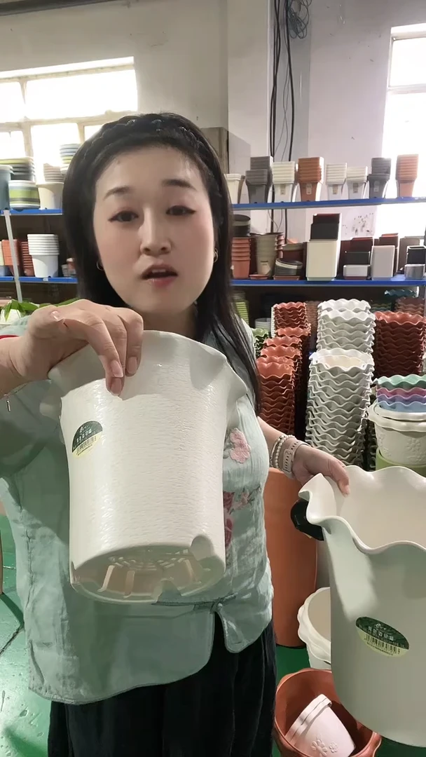 5套荷叶边5002，带托盘，米白色