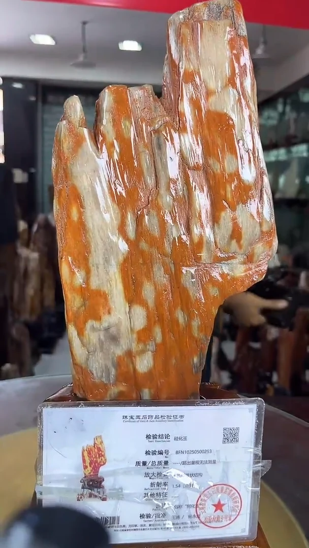 未镶嵌珠宝奇石硅化玉缅甸天然树化玉摆件