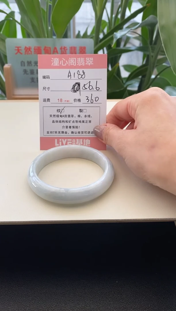 未镶嵌手镯翡翠56.6圈口A188