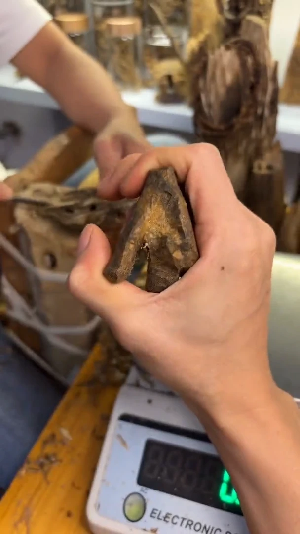 沉香碎屑沉香木乌身原叶品种17克包头