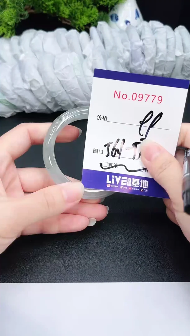 未镶嵌手镯翡翠9779