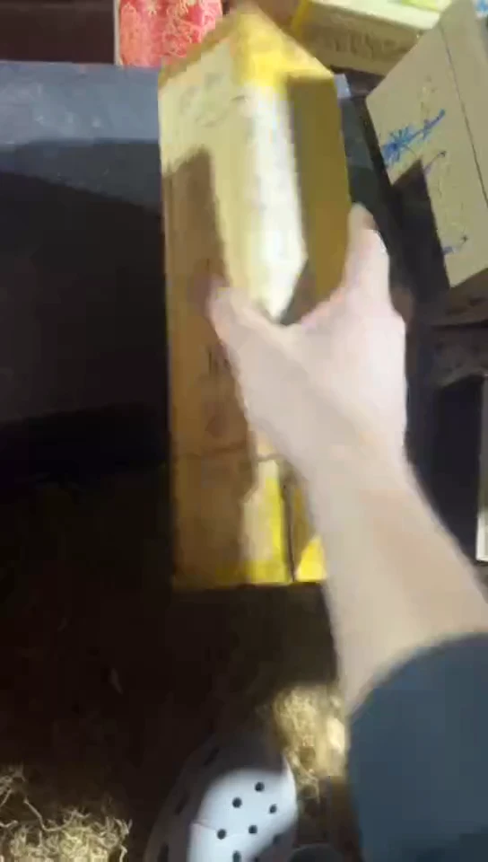 香榧木李金色盒子