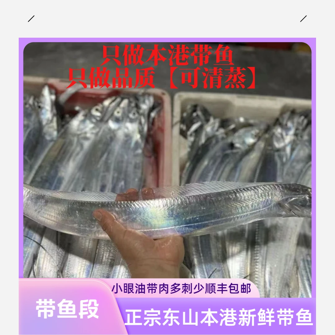 正宗东山本港新鲜带鱼段去头去尾黑眼带鱼小眼油带深海带鱼段