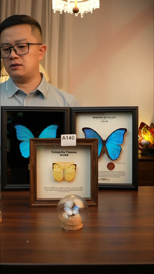 黄迁粉蝶（6寸方胡桃色新款框）A140