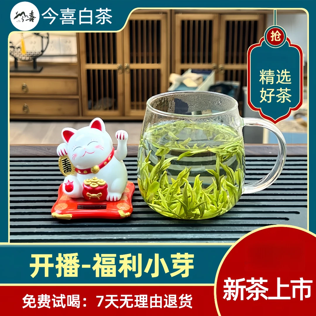 每人限购一单！！【福利小芽】安吉白茶2025年新茶黄杜今喜开园