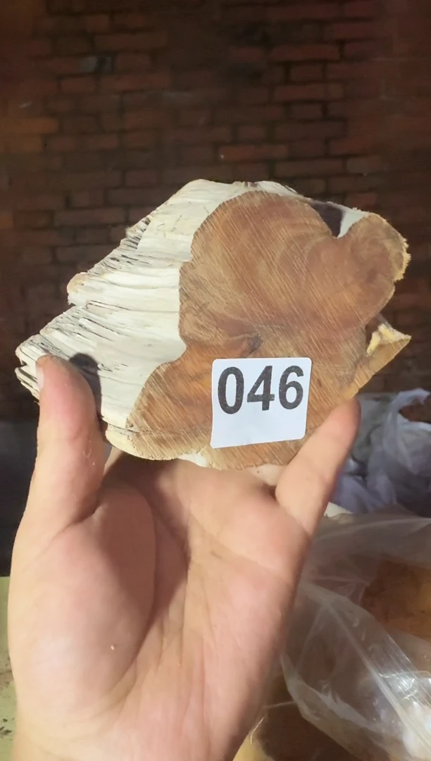 柏木太行山陈化崖柏茬头046