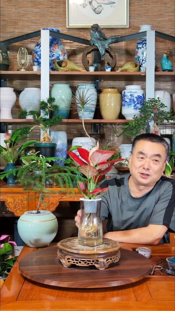 无花朵边*z水之韵水培如意