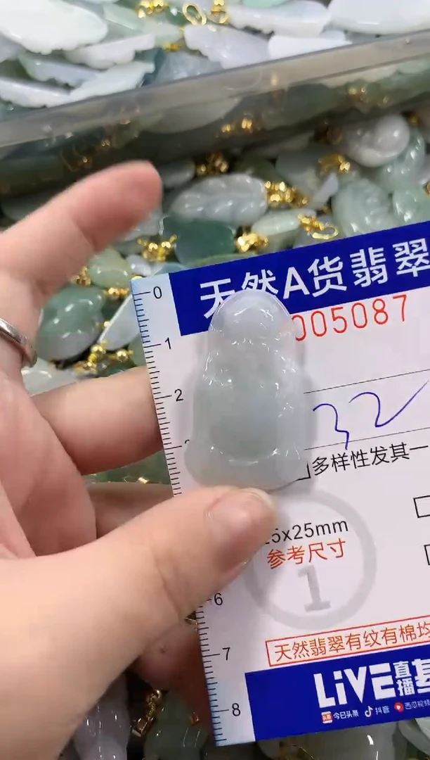颈饰未镶嵌翡翠天然A货翡翠