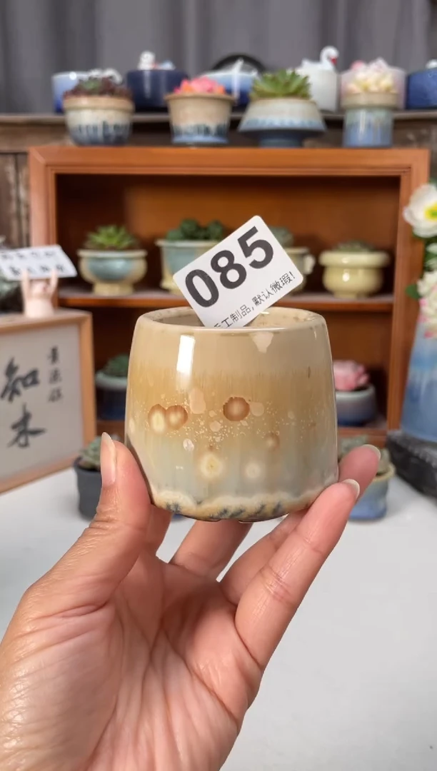 瓷片085知木小芳花盆