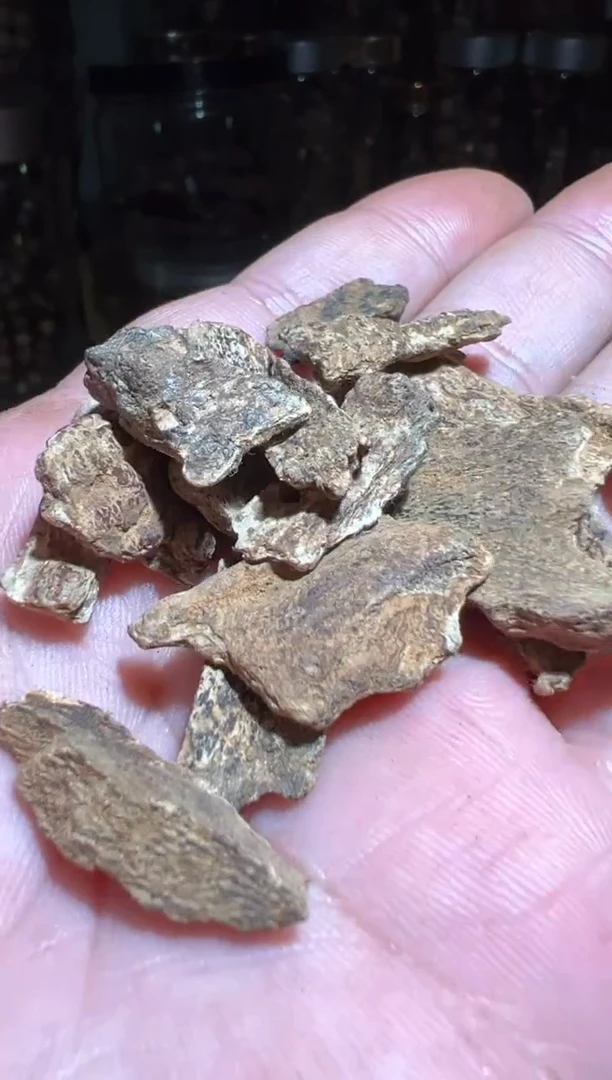 沉香沉香碎屑斯里兰卡好味道5.5克