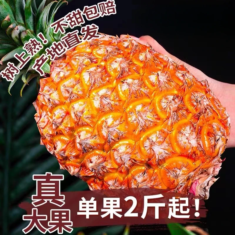 太阳岛海南正宗金钻凤梨香甜可口2个（单果2斤以上）