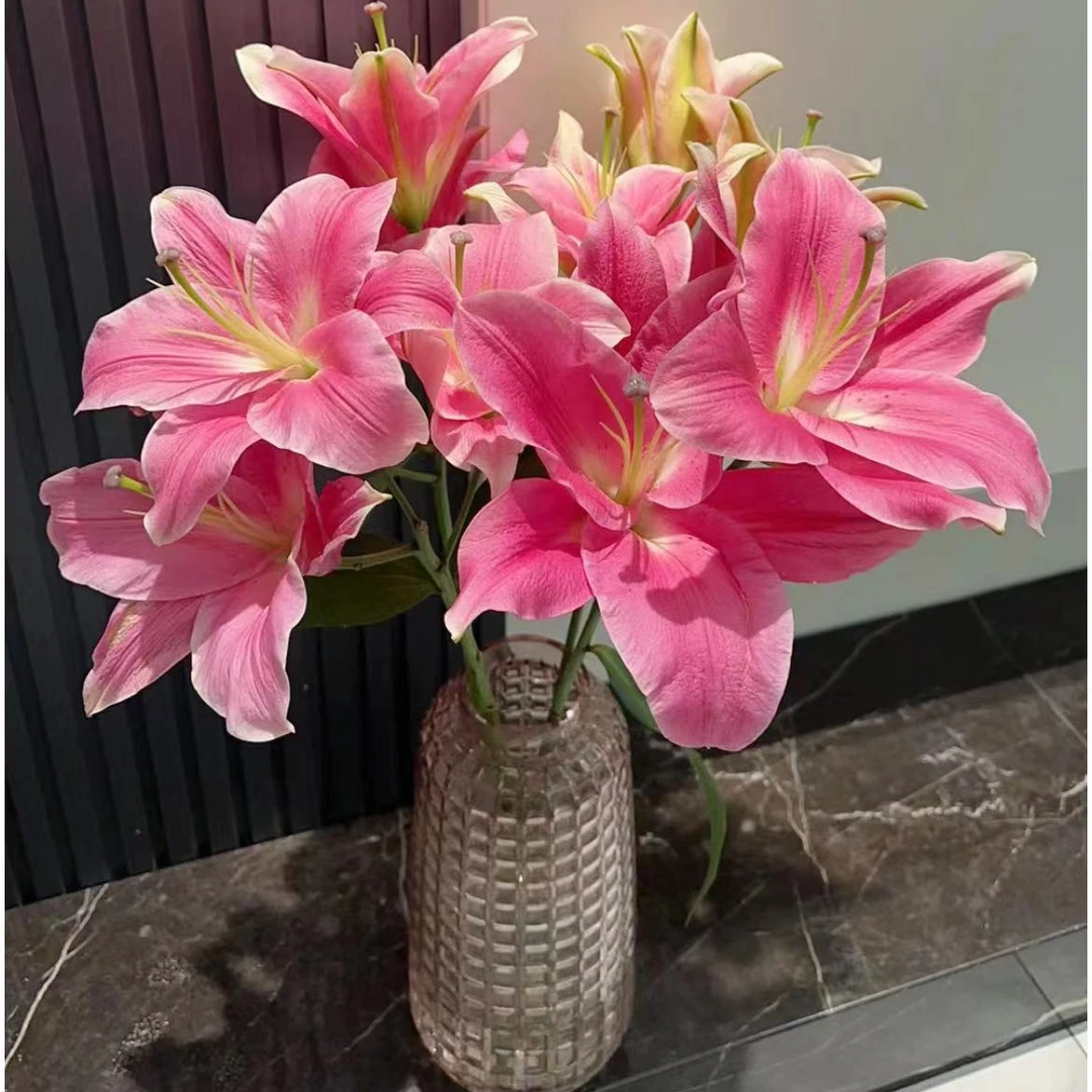 【一品花集】【护卫舰】单瓣百合