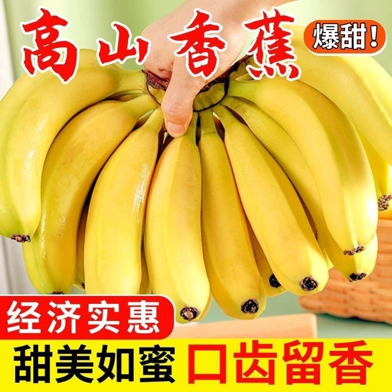 广西高山甜香蕉新鲜当季绿皮香蕉软糯香甜水果