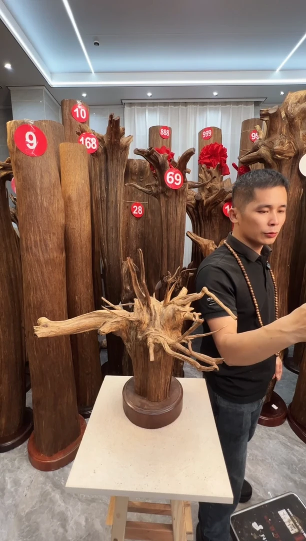 沉香摆件一**提沉香原料