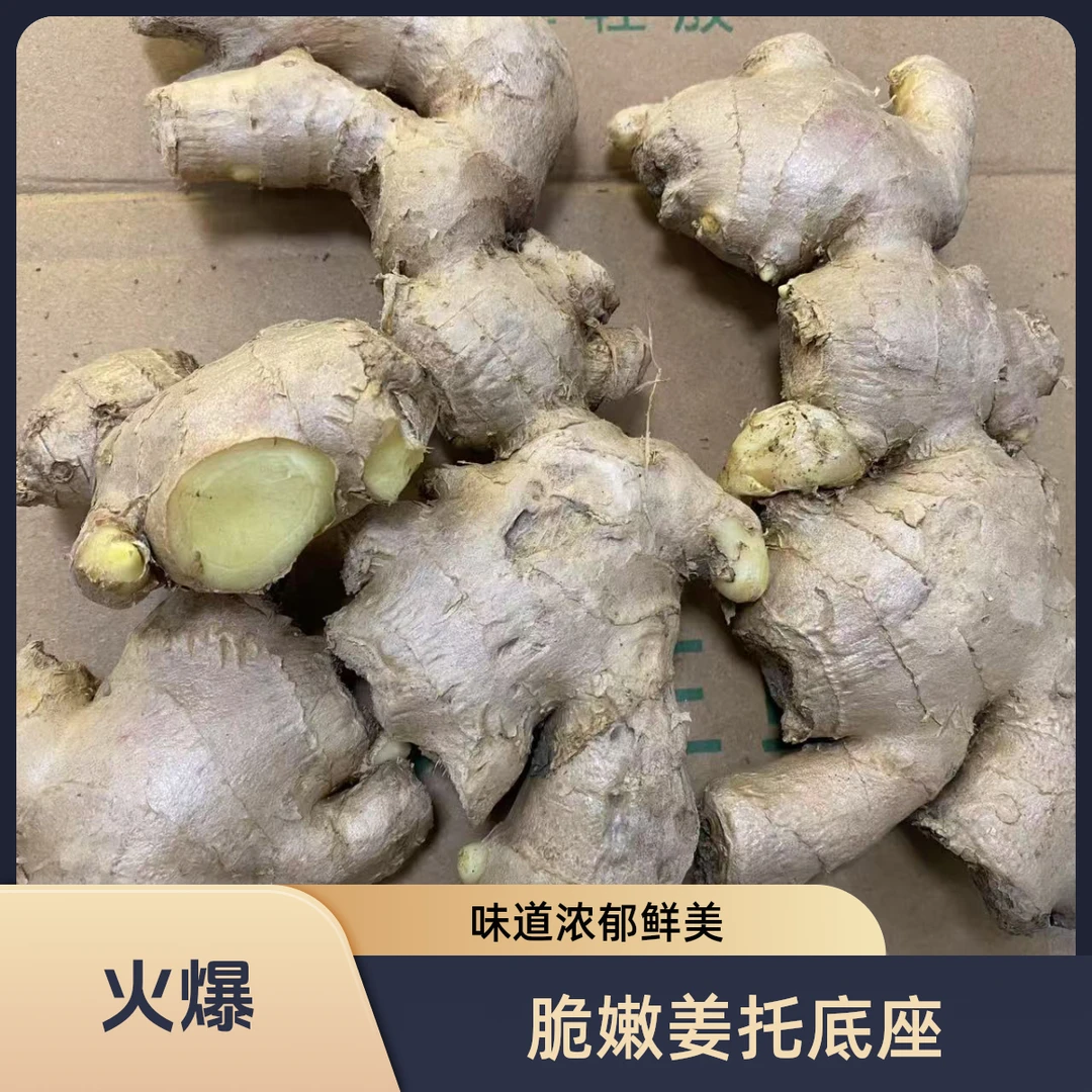 大黄姜姜托底座辛辣味可生吃脆嫩产地直发
