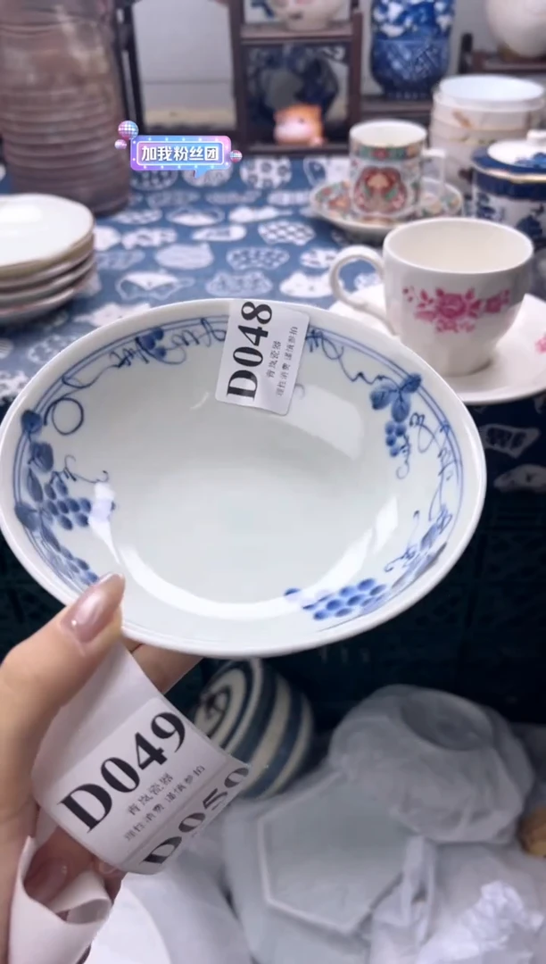 瓷片落***埃  D048