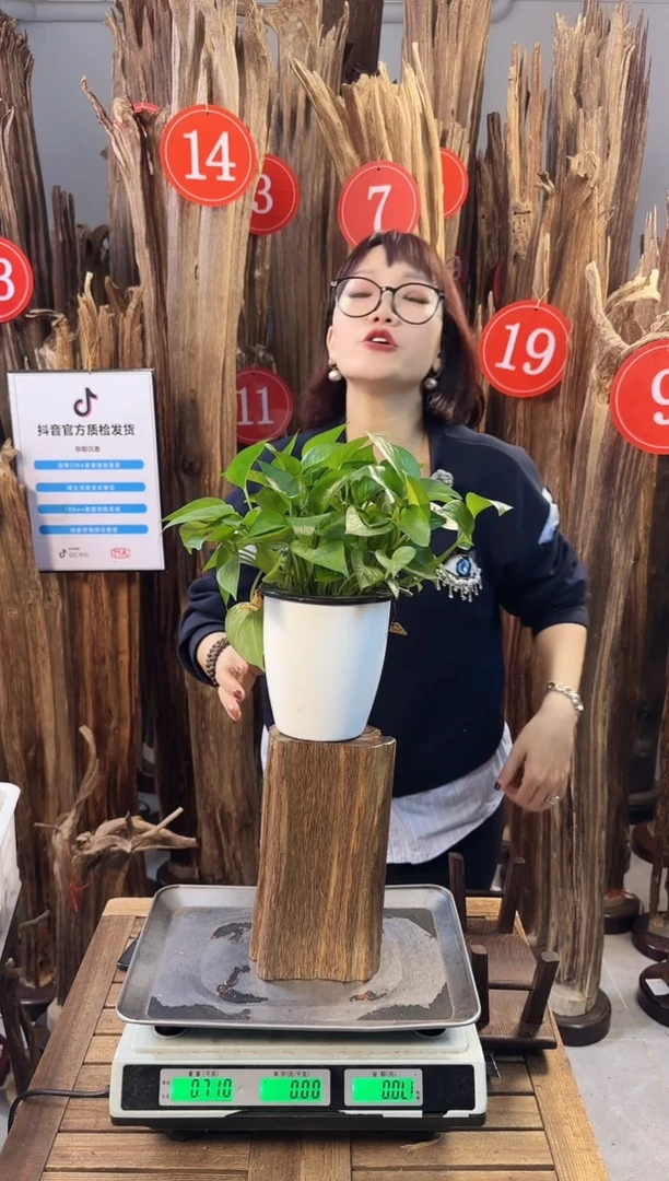 【闪购商品】沉香摆件沉香摆件多样性发一件58