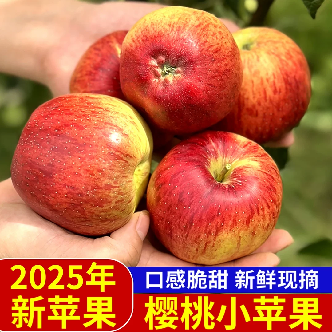 【2025鲜果1】云南高原红露樱桃小苹果糖心苹果现摘现发2斤/4.5斤