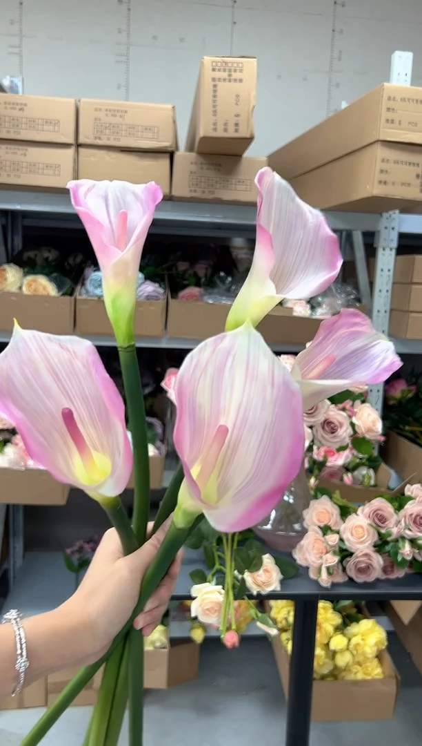 5枝粉色马蹄莲组合