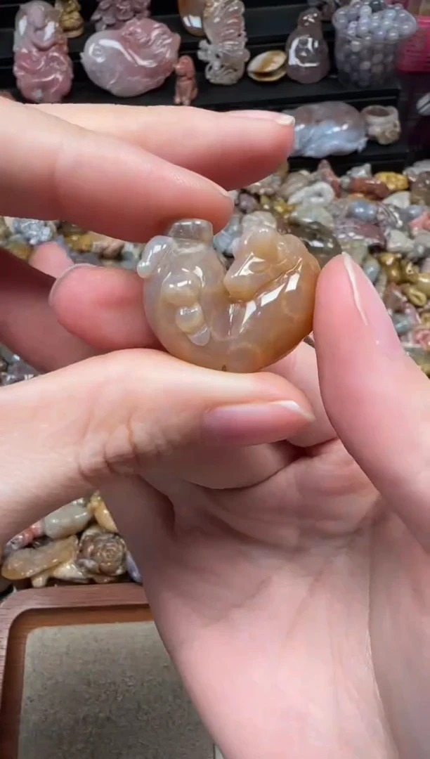 颈饰未镶嵌硅化珊瑚（珊瑚玉）424