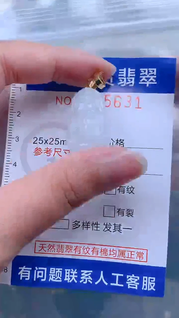 翡翠未镶嵌吊坠(不含链)1