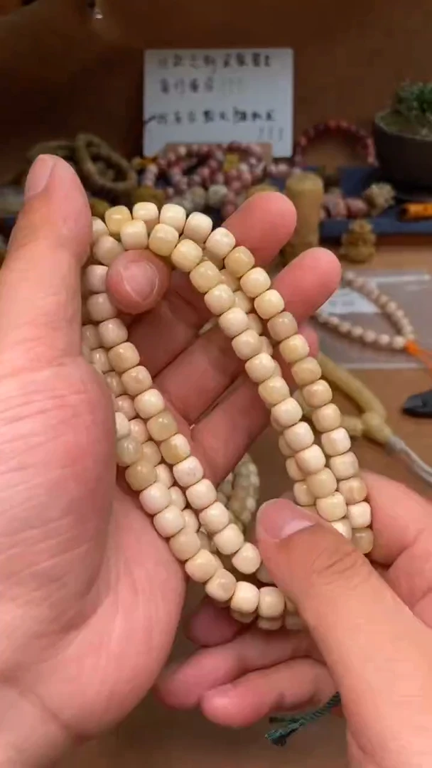 【闪购商品】驼骨其他驼骨定向V409