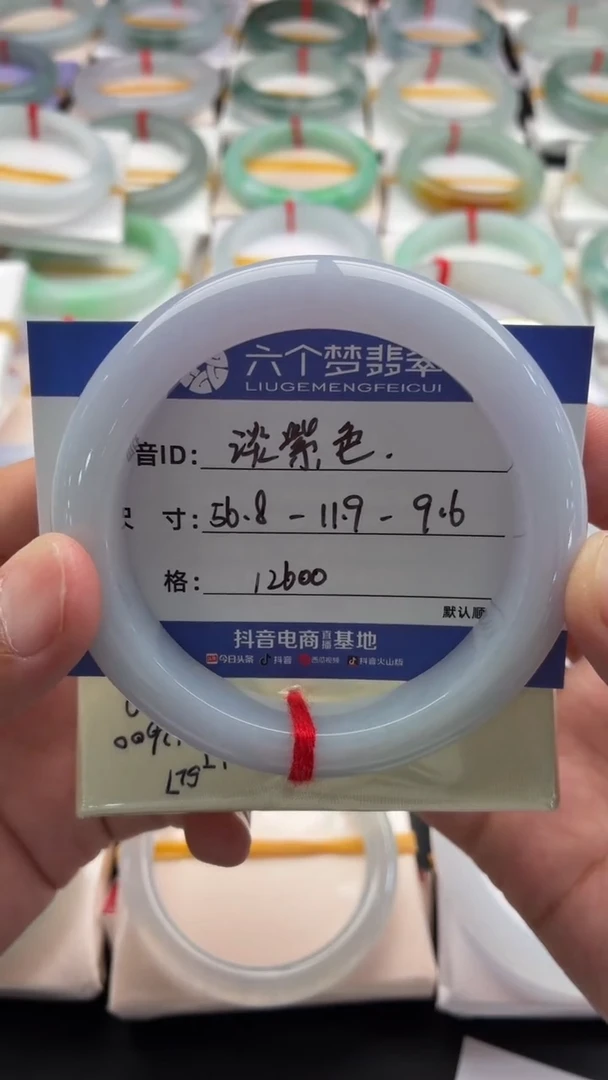 未镶嵌手镯翡翠淡紫色 48小时鉴赏期