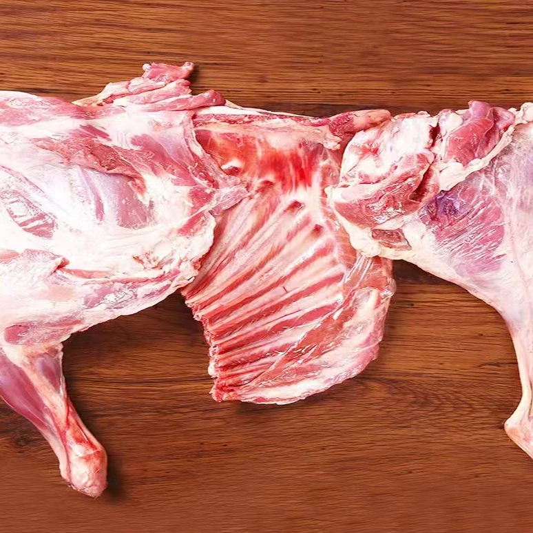 新疆巴里坤大草原放养哈萨克大尾羊（去尾巴）