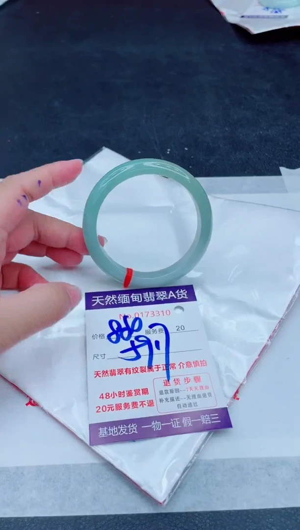 未镶嵌手镯翡翠880.00000