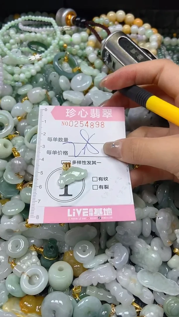 翡翠未镶嵌颈饰闪购0254898