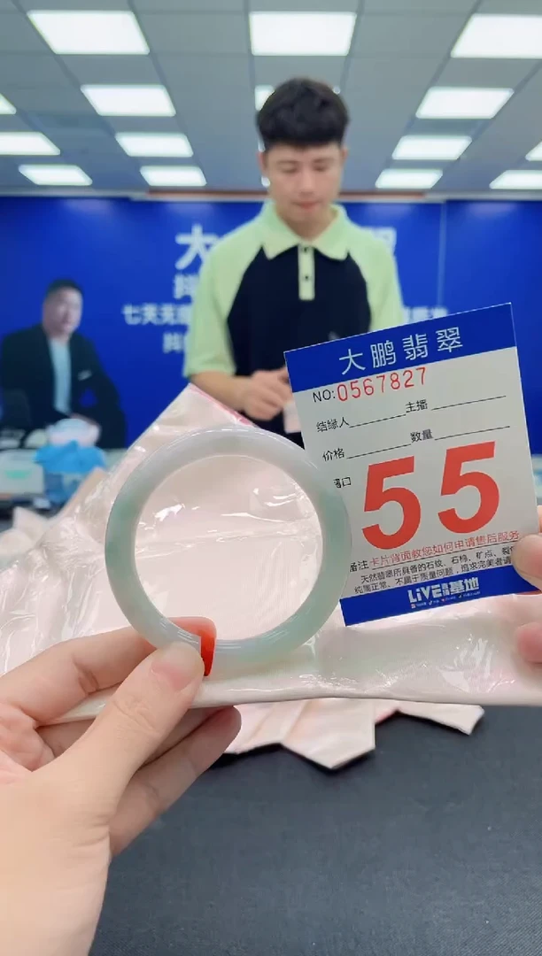 未镶嵌手镯翡翠AAAAAAAAA