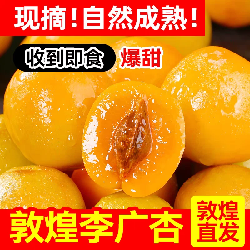 敦煌李广杏新鲜采摘香甜多汁敦煌李广杏整箱净重5斤 顺丰空运包邮