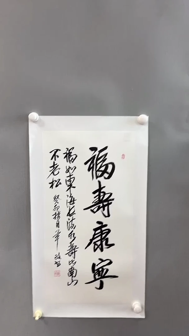 【闪购商品】书法雅艺典藏文化书法