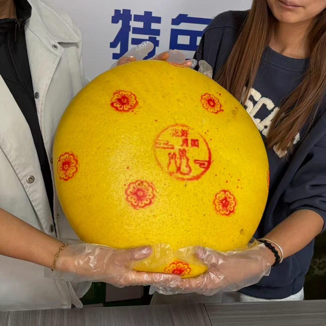 武威传统面点 车轱辘大月饼（顺丰发货）