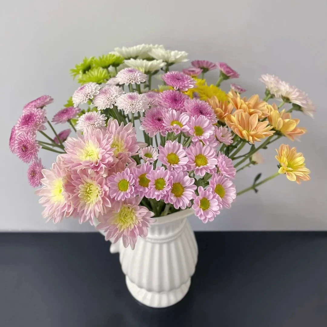 【北方玫瑰玫小朵&小菊】花期持久 产地直发 一单韵达两单顺丰