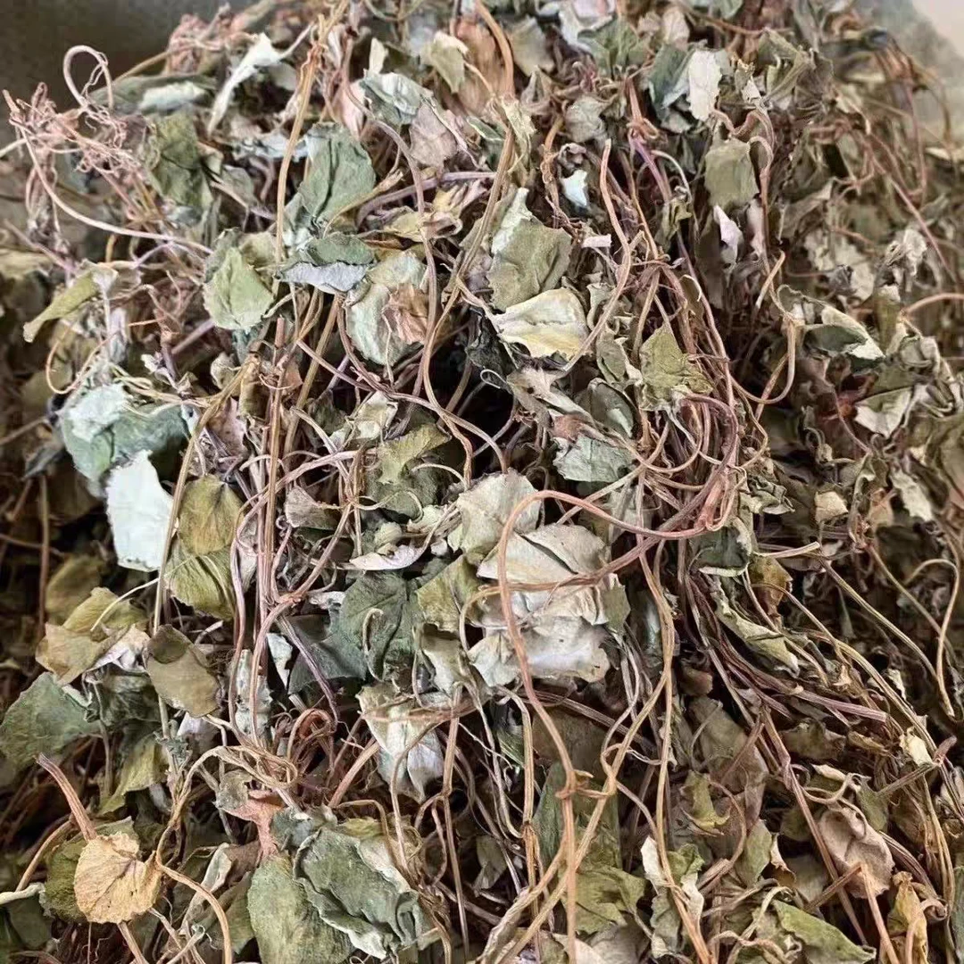 正宗贵州野生小叶金钱草中草药新鲜干货中药材野生过路黄泡水喝