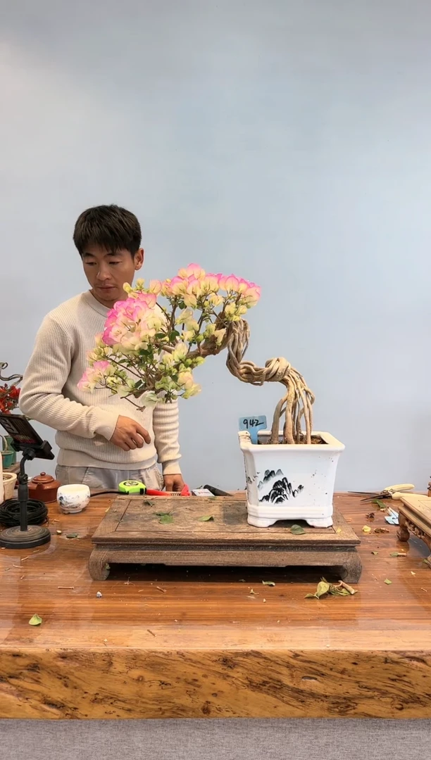 【闪购商品】aa942