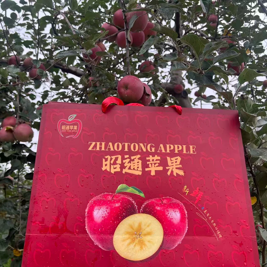 【顺丰包邮】云南昭通丑苹果新鲜现摘水果礼盒装中秋国庆送礼佳品