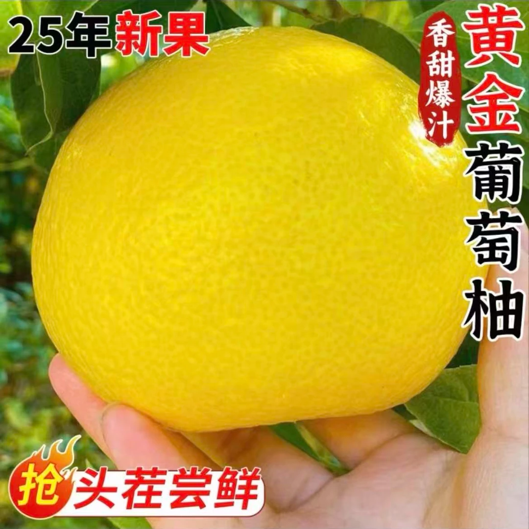 A级商品果果王福建葡萄柚 鲜嫩多汁 满口香甜 皮薄肉多榨汁喝