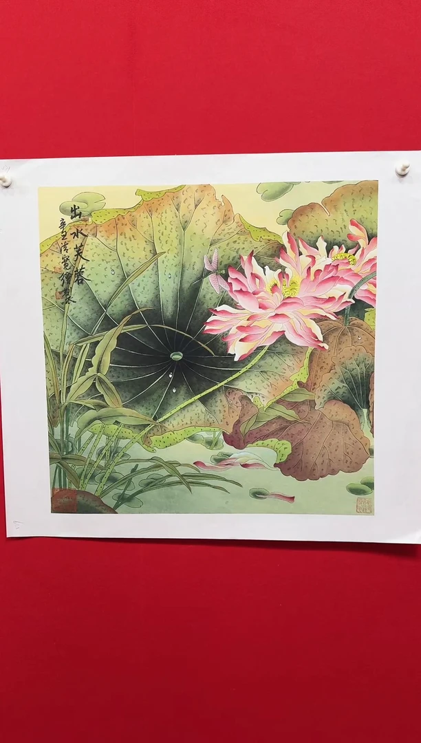 国画宣纸/书画/绘画/国画