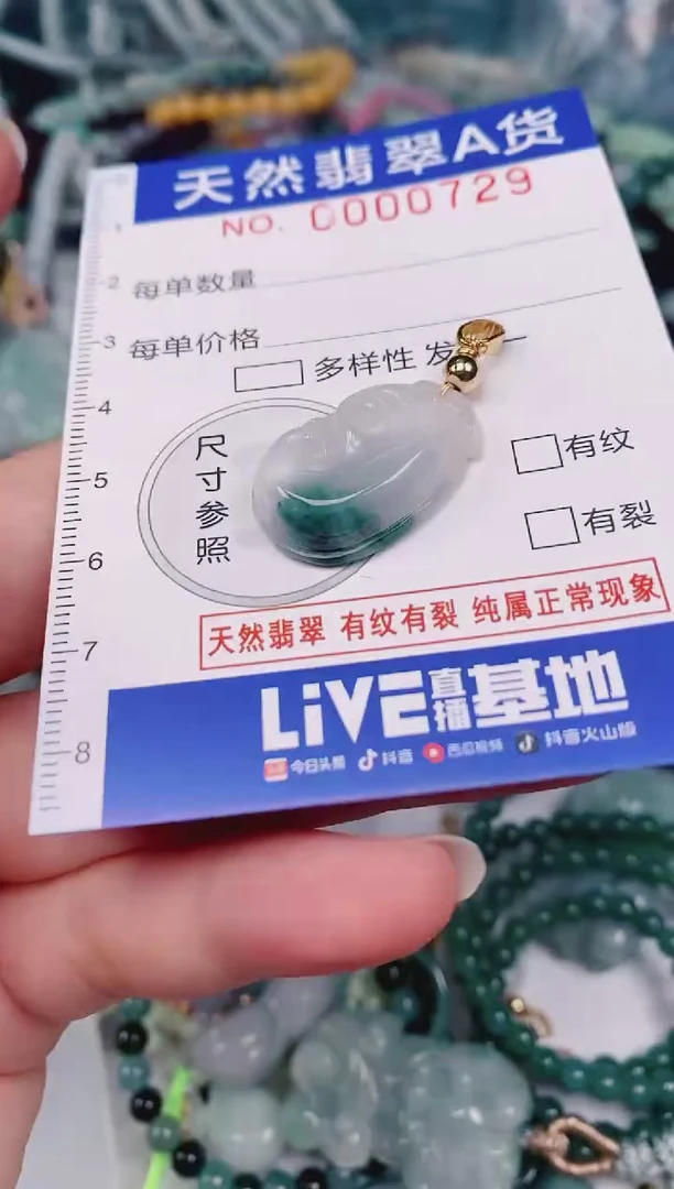 颈饰未镶嵌翡翠00000729