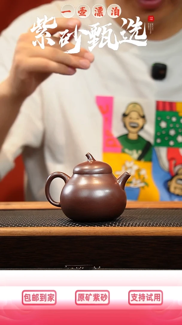 茶壶紫砂 一壶漂泊紫砂茶器7022