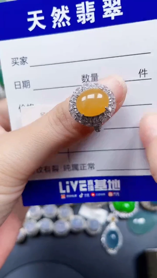 银S925镶嵌翡翠耳饰529
